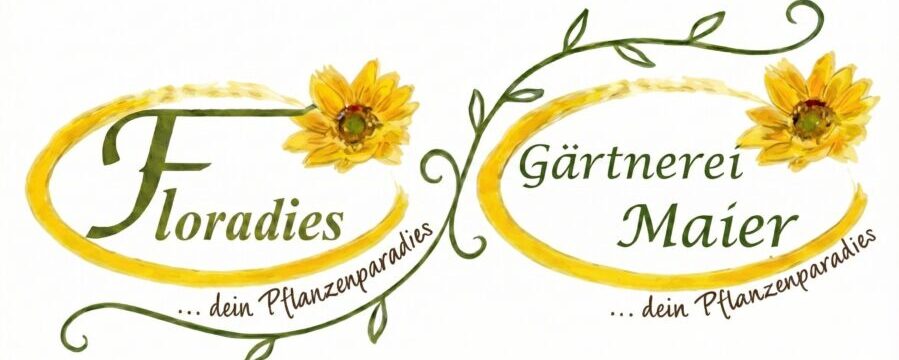 Zurück zur Startseite