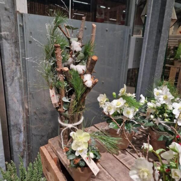 Advent 2025 Gärtnerei Maier & Floradies