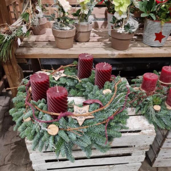 Advent 2025 Gärtnerei Maier & Floradies