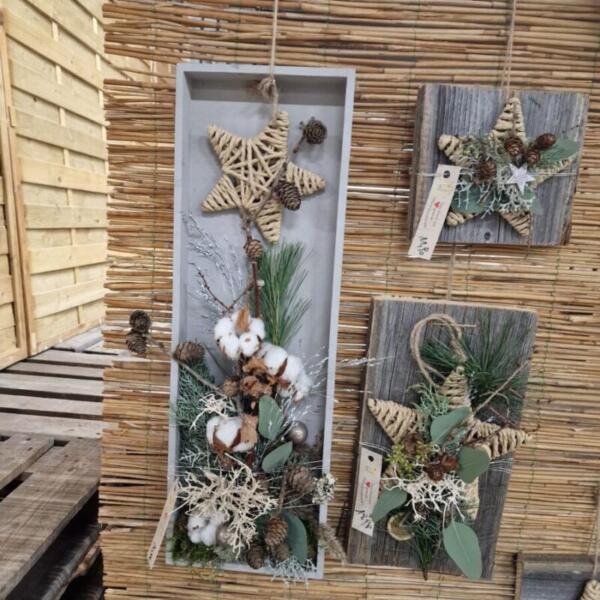 Advent 2025 Gärtnerei Maier & Floradies