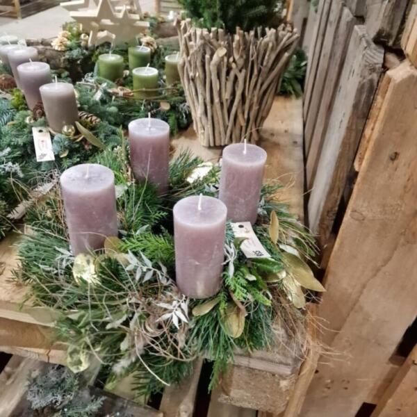 Advent 2025 Gärtnerei Maier & Floradies