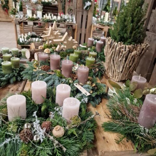 Advent 2025 Gärtnerei Maier & Floradies