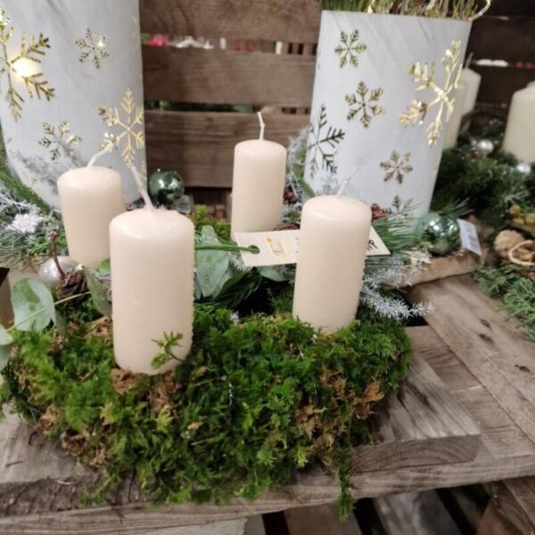 Advent 2025 Gärtnerei Maier & Floradies