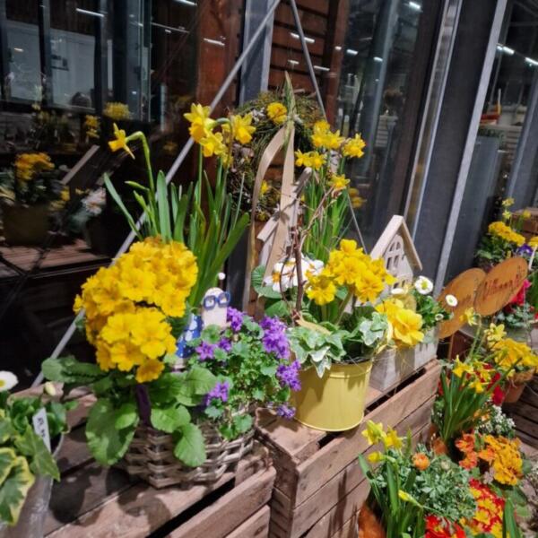 Floradies Ostern 2026