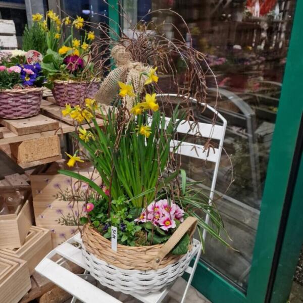 Floradies Ostern 2026