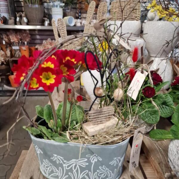 Floradies Ostern 2026