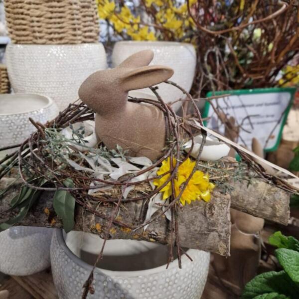 Floradies Ostern 2026