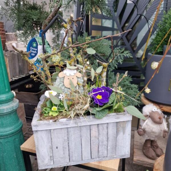 Floradies Ostern 2026