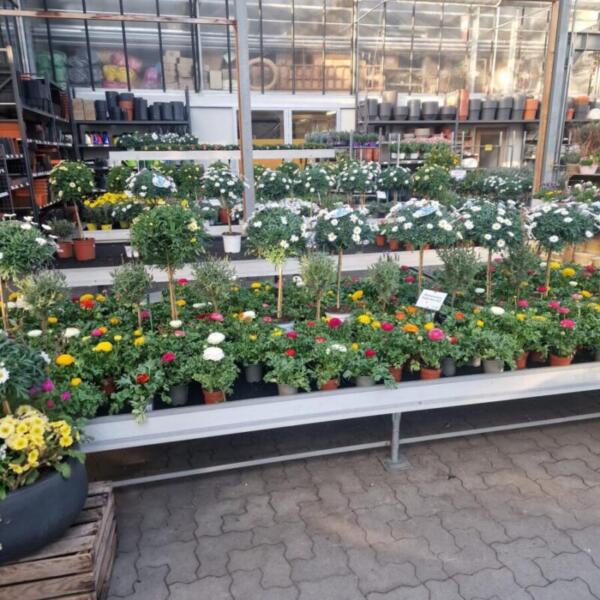 Floradies Ostern 2026