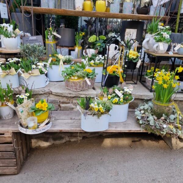 Floradies Ostern 2026