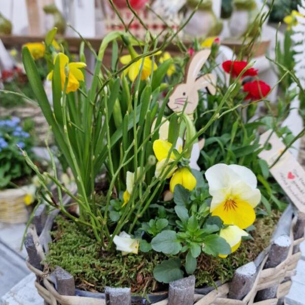 Floradies Ostern 2026