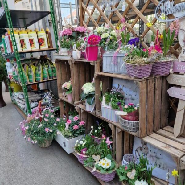 Floradies Ostern 2026