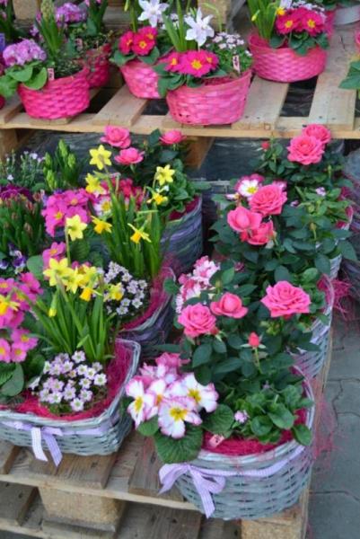 Frühlingskörberl Pink