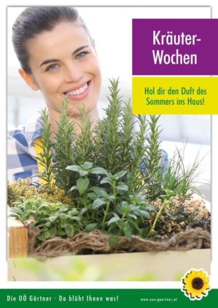 Floradies Kräuter 2026