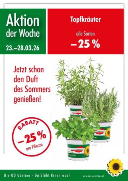 Floradies Kräuter 2026