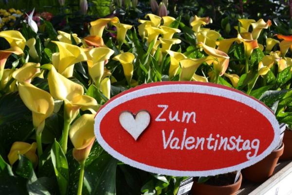 Valentinstag 14. Februar