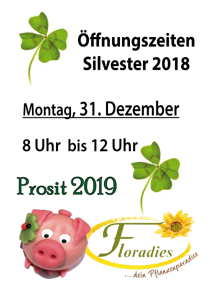 Öffnungszeiten-Silvester-2018
