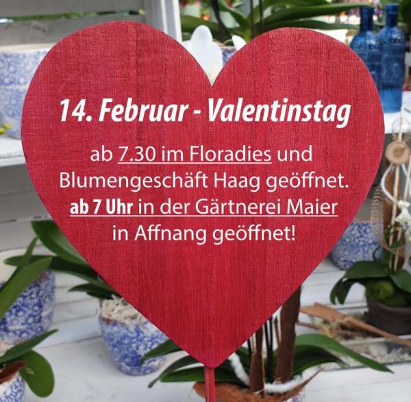 Valentin 2020